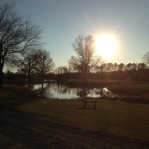 Fine Art, Original Photography, Maryland, Sunset, reflections, light, sun, Pond, Winter, Trees, Bare, grass slope, bench