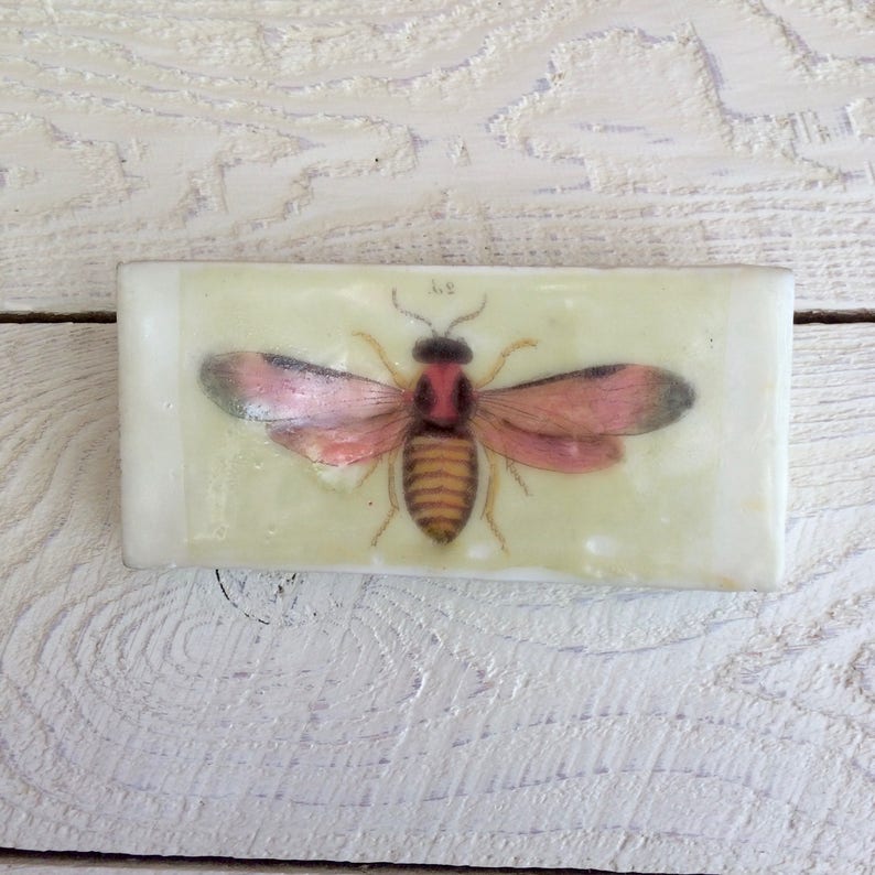 Encaustic Painting Insect Art Butterfly Moth Art Small Painting Wood Panel Bee Photo Image Transfer Original Art