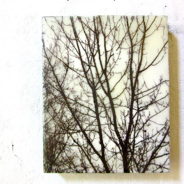 State and main vintage  Painting - Trees - Black and White - Encaustic  Image Transfer Painting -  Original Photo - Recycled Wood