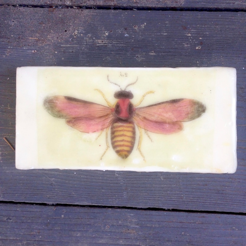 Encaustic Painting Insect Art Butterfly Moth Art Small Painting Wood Panel Bee Photo Image Transfer Original Art