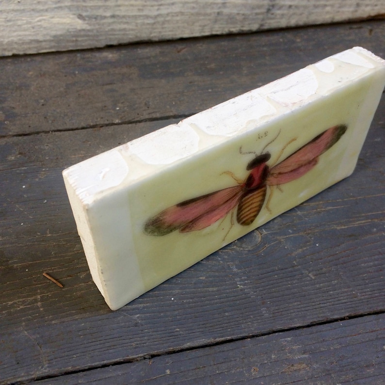 Encaustic Painting Insect Art Butterfly Moth Art Small Painting Wood Panel Bee Photo Image Transfer Original Art