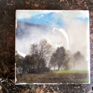 Original Art - Ethereal Trees and Fog - Encaustic  Image Transfer Painting -  Original Photo - Recycled Wood - Landscape - Mixed Media -