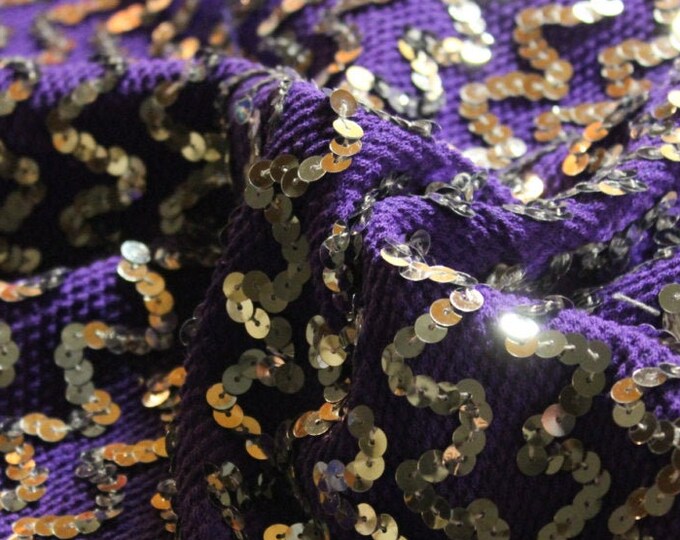 SIlver Sequin Wave Stripe (Horizontal) on Purple Knit
