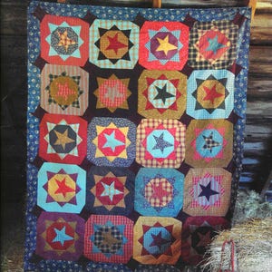 May include: A handmade quilt with a patchwork design featuring star-shaped blocks in various colors. The quilt has a blue border and is hanging on a wooden structure. The text "Stir Crazy" is at the top.