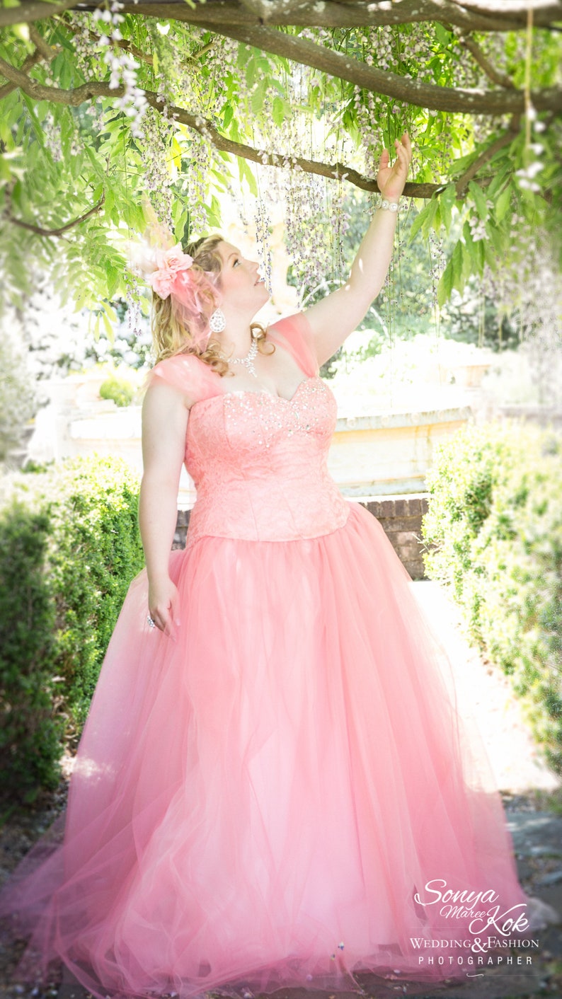 ball gown size 22