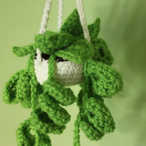 May include: A crocheted hanging plant with green leaves and a white pot. The plant is made of yarn and has a realistic appearance.