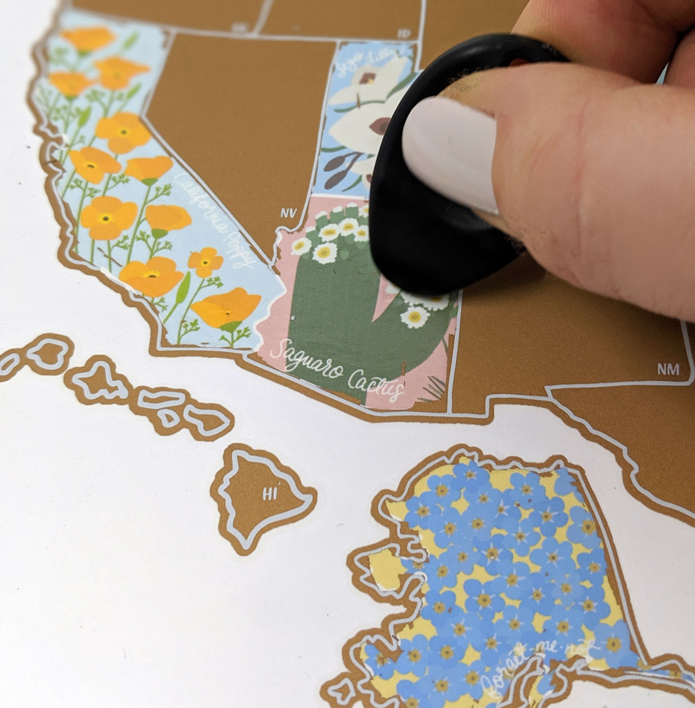 Desk Size Scratch Your Travels State Flowers USA Map | Small Scratch Off Map | Travel United States Map Gift |  Present Birthday