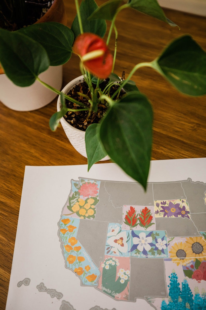 May include: A map of the United States with each state illustrated with a different flower. The states are outlined in gray and the flowers are in various colors, including red, yellow, blue, and white. The map is printed on white paper and is sitting on a wooden table.
