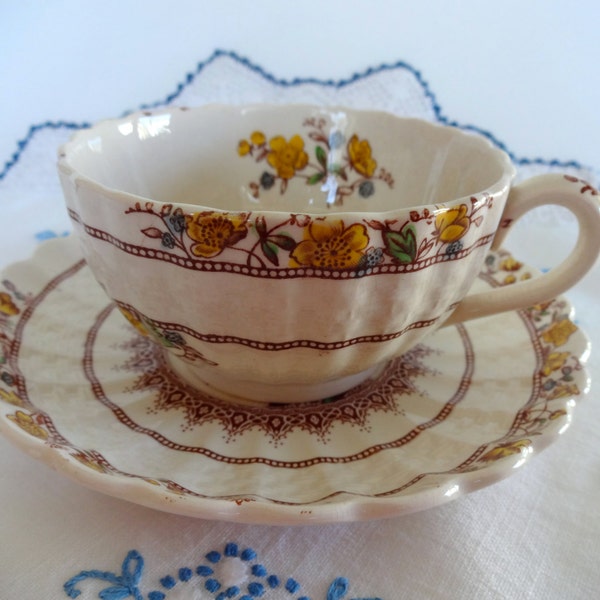 Copeland Spode Buttercup Pattern Tea Cup and Saucer from the 1950's Brown Spode Label