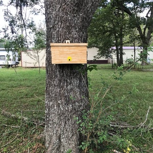 B Box Insta Nuc / Swarm Trap image 2