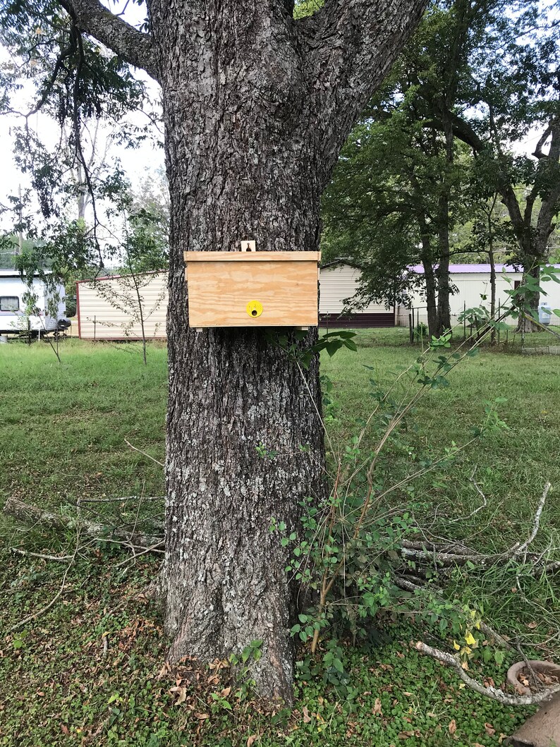 B Box Insta Nuc / Swarm Trap image 2