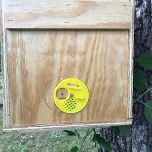 B Box Insta Nuc / Swarm Trap image 4