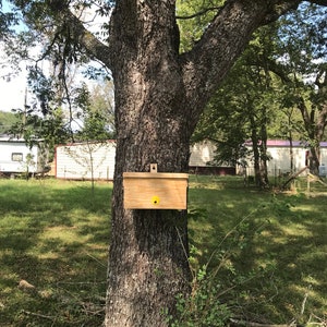 B Box Insta Nuc / Swarm Trap image 8