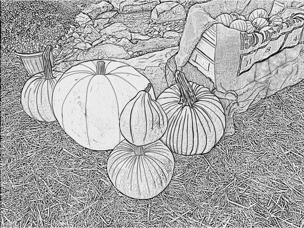 Fall Coloring Packet 15 Pages Adult Coloring Pages Etsy - Fall Coloring Packet 15 Pages Adult Coloring Pages Etsy