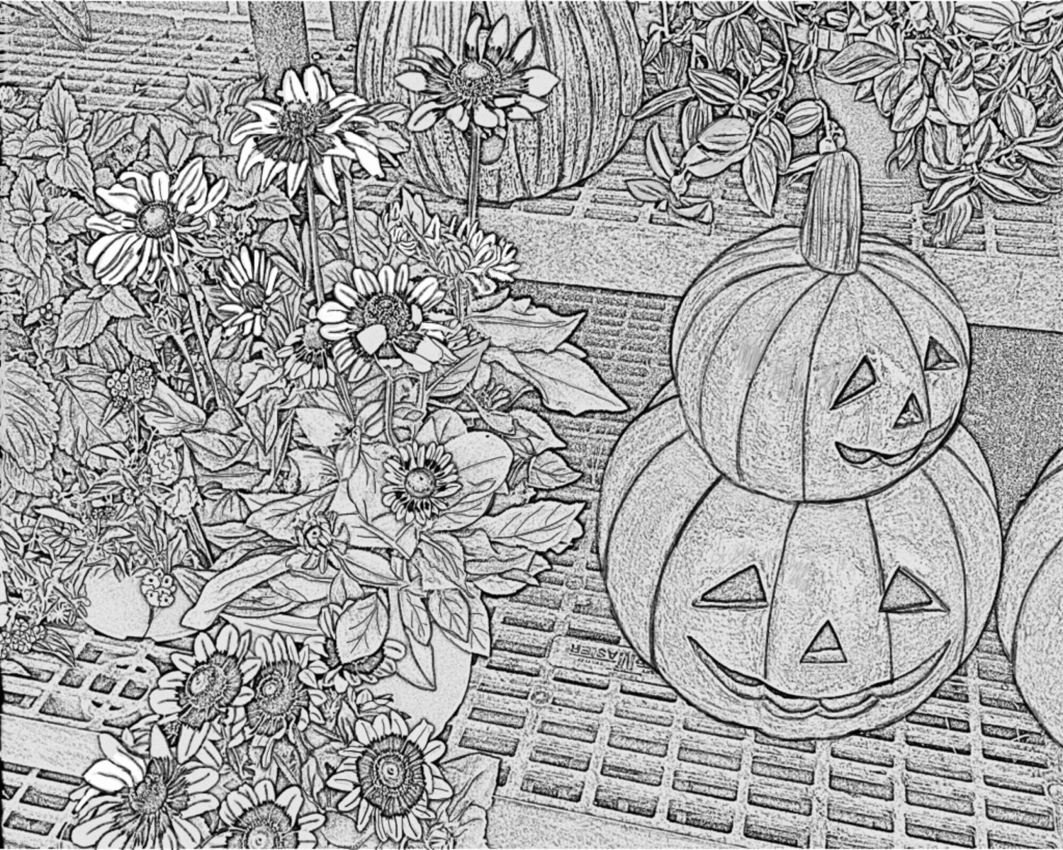 Download Jack-o-lanterns and Flowers Adult Coloring Pages Gray ...