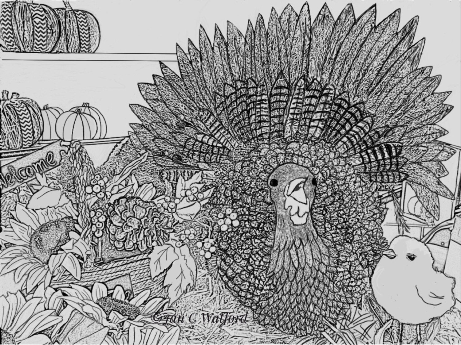Thanksgiving Turkey, Adult Coloring Pages, Coloring Page, Gray Scale, Printable, Digital Download, Coloring Book, Adult Coloring Book