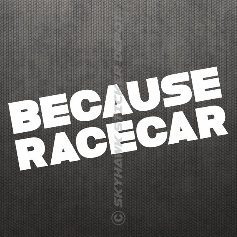 May include: White vinyl sticker with the text "Because Racecar" on a grey background.