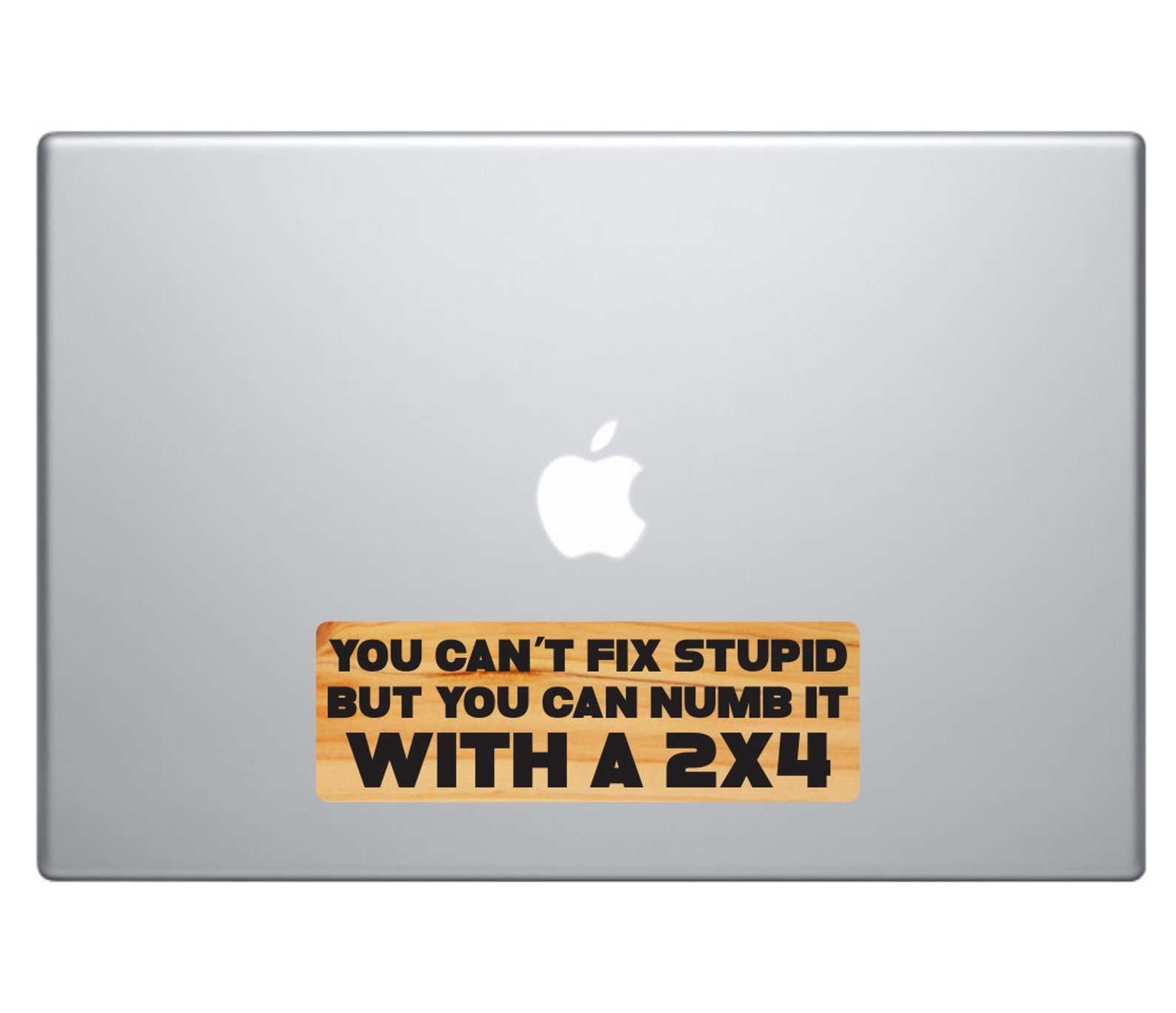 You Can't Fix Stupid Funny Bumper Sticker Vinyl Decal | Etsy