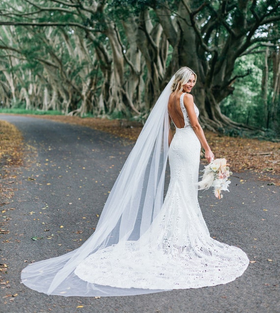 Elegant Bridal Veil Lace Cathedral Veil Rose Embroidered Veil