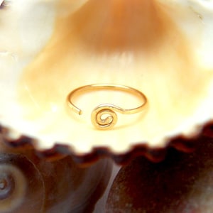 Può includere: Un anello di filo dorato con un design a spirale, appoggiato all'interno di una conchiglia.
