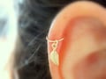 Cartilage Earring, tiny leaf gold hoop, gold cartilage Hoop Earrings, 14K Gold Filled, tiny hoops product logo