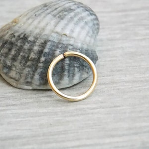 neusring, 22 GAUGE, Helix, zilveren neusring, Conch, Tragus, 14k gouden neusring, goud gevulde neusring, eenvoudige kleine kleine hoepel