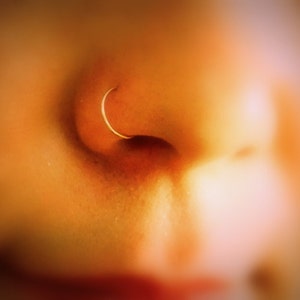 Nose Ring Cuff, fake nose ring clip on 14k Gold Filled~ NO PIERCING REQUIRED~