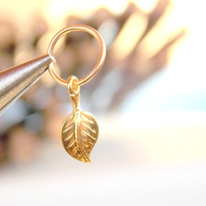 Cartilage Earring, tiny leaf gold hoop, gold cartilage Hoop Earrings, 14K Gold Filled, tiny hoops image 2