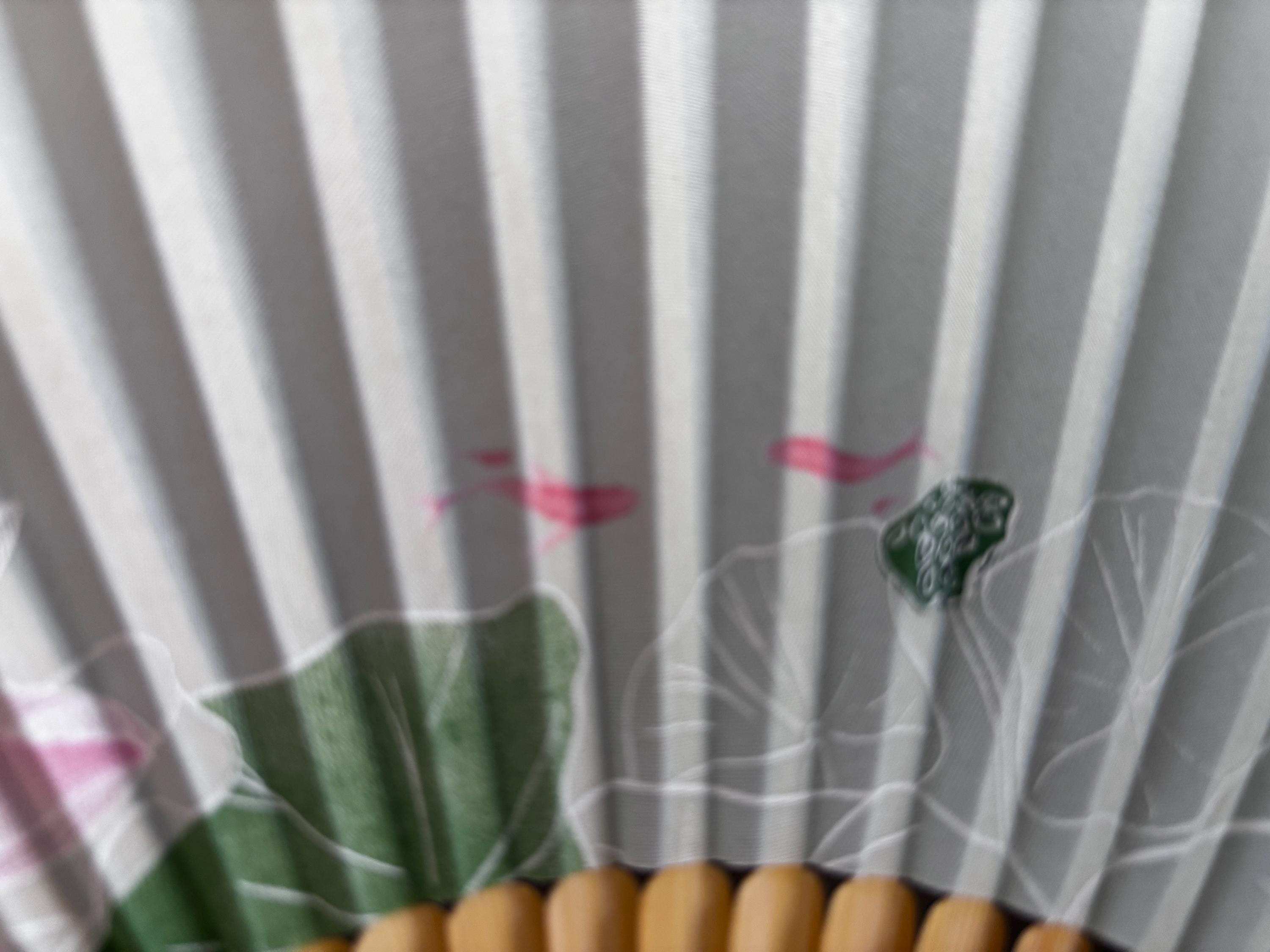 VEGCOO Ventaglio, Ventaglio in legno e seta di ventaglio pieghevole, con sacchetto di ventilatore di loto/seta sacchetto/confezione regalo ventilatore, regalo estivo, decorazione di nozze regalo di