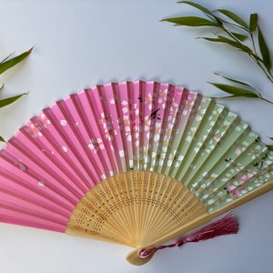 Ventaglio cinese in tessuto rosa e verde chiaro con stecche di bambù e custodia, splendida stampa floreale