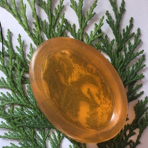 honey and argan oil shampoo bar and conditioner bar in Biodegradable cellophane wrapping image 2
