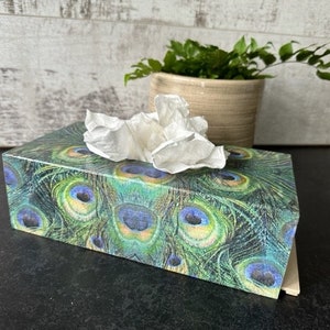 May include: A rectangular tissue box with a peacock feather pattern in green, blue, and gold. White tissues are visible at the top. A small potted plant is in the background.
