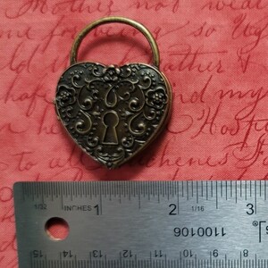 Lock Cover Minder