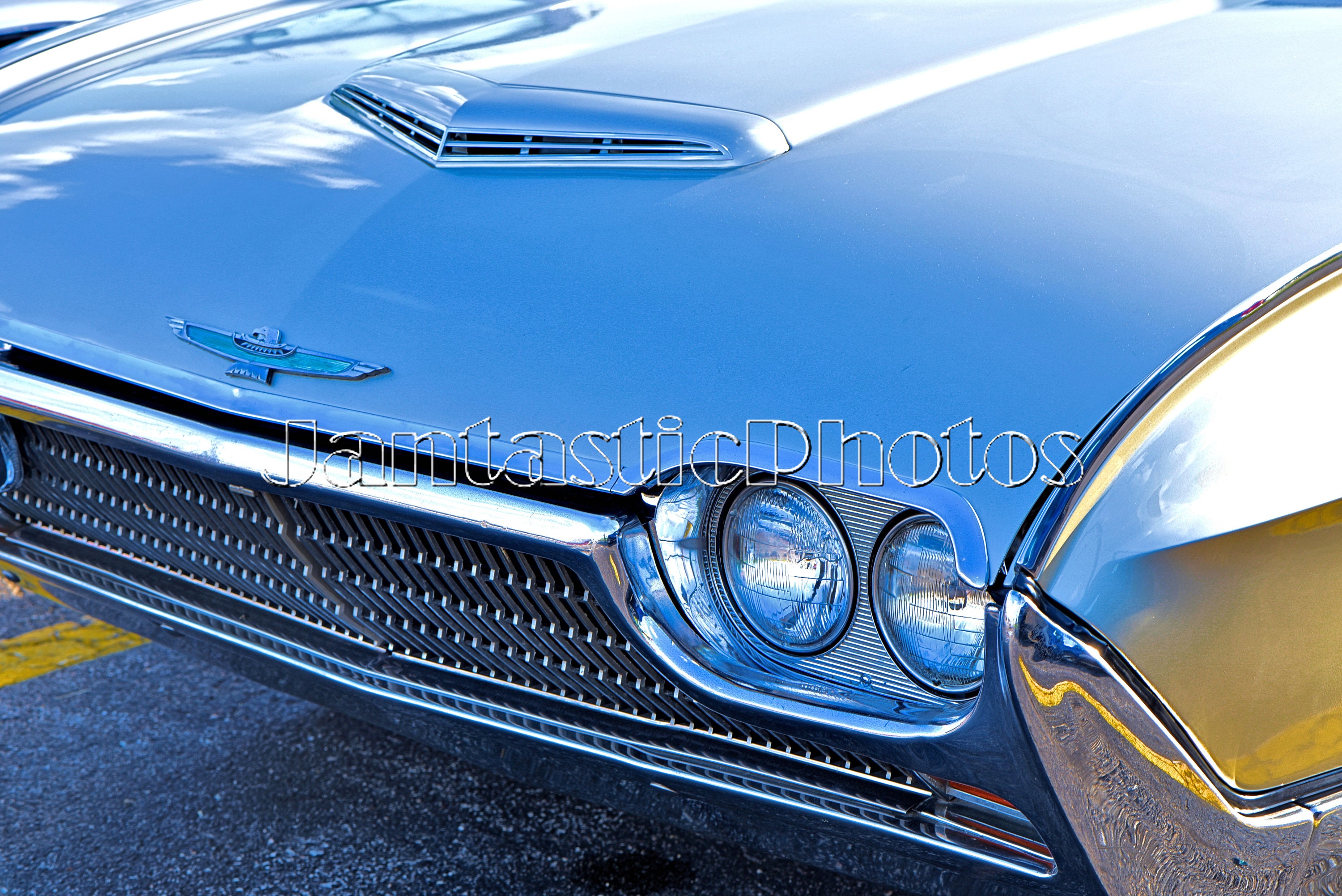 Ford Thunderbird Photograph Classic T Bird Front Emblem Hood Etsy