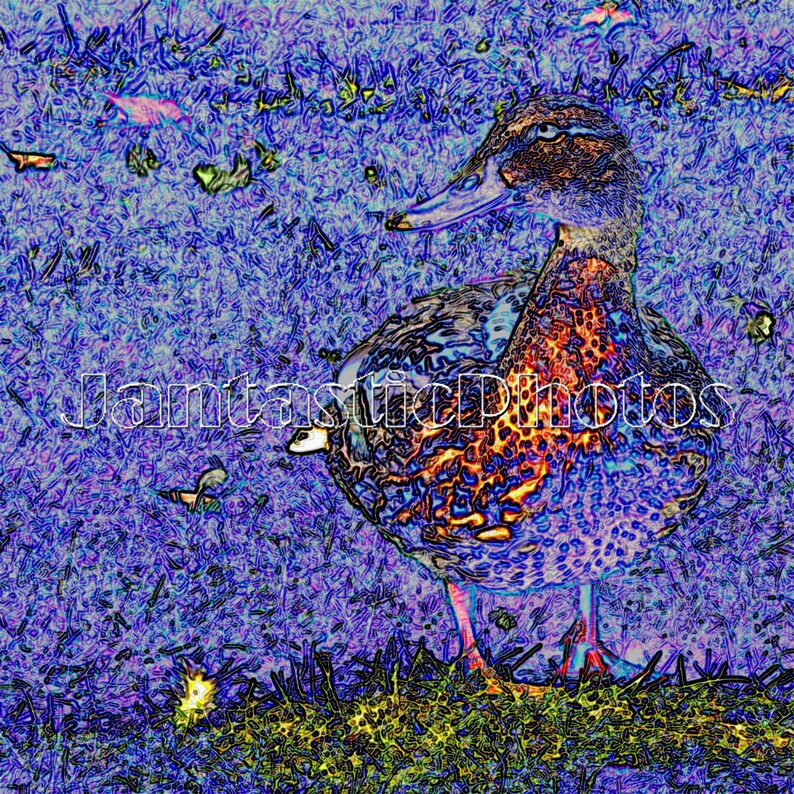 Impressionist Duck Digital Painting Photograph Mallard Hen Instant ...
