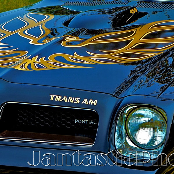 Pontiac Firebird Trans Am photograph 1976 screaming eagle emblem Instant download photo muscle car automobile photography automotive art