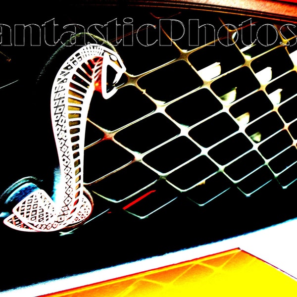 Cobra Mustang fotografía serpiente emblema parrilla parrilla Ford pony car Descarga instantánea foto clásica fotografía de automóviles arte automotriz