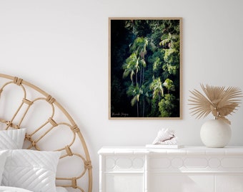 Palm Forest - Australia - Fotografía Impresión de Bellas Artes (Sin marco)