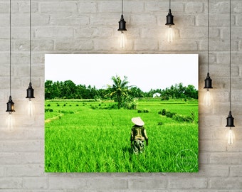 Rice Fields ~ Bali ~ Fine Art Print (Unframed)