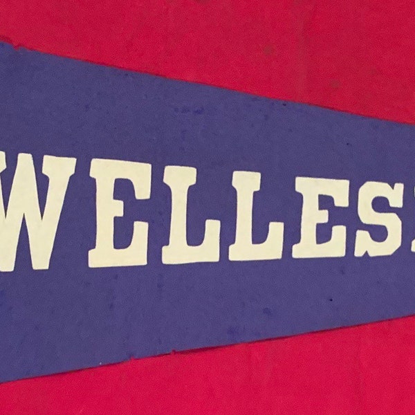 Antique Circa 1920 Wellesley College Sewn Letter 30 Inch Pennant