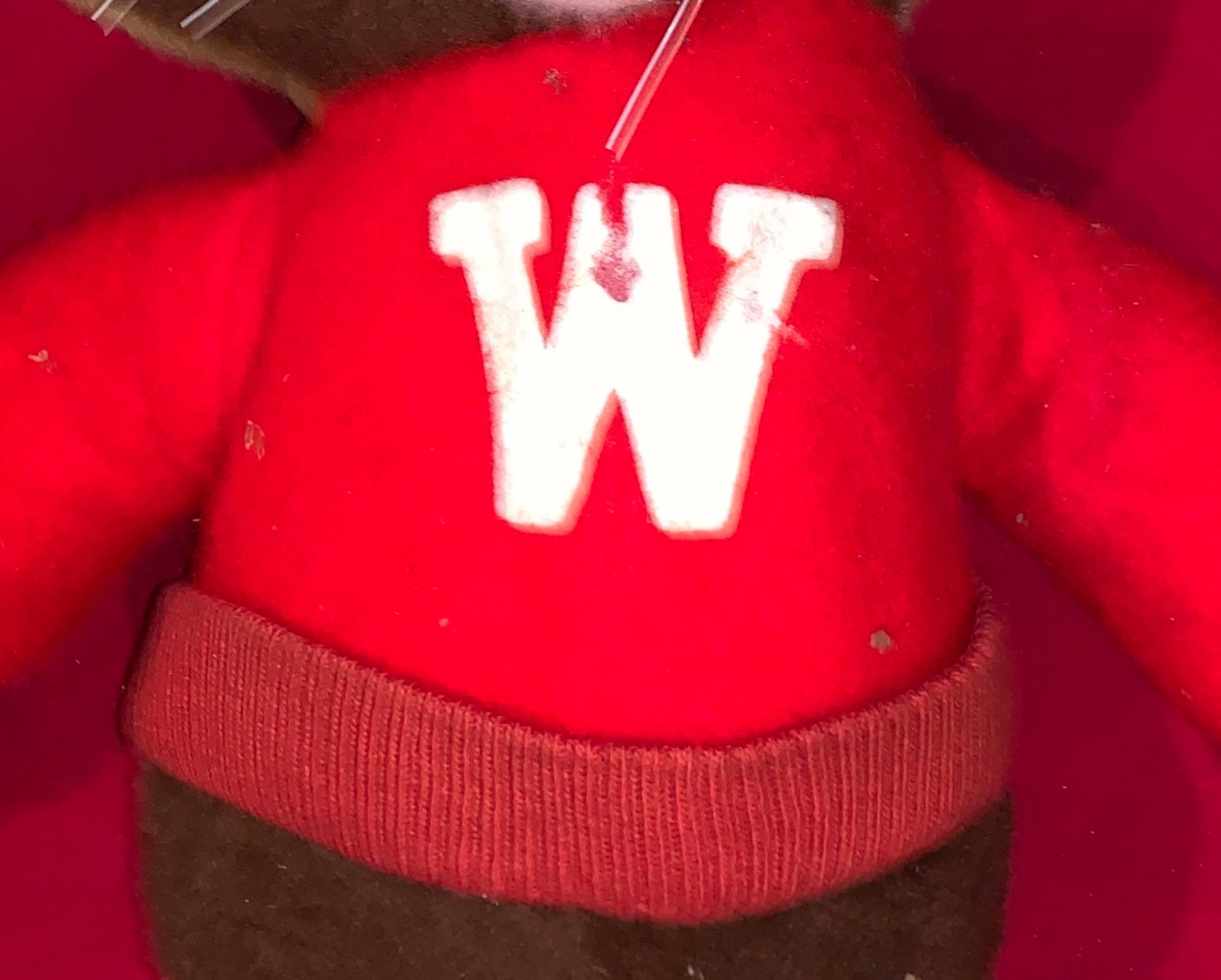 Large Vintage Circa 1950's University of Wisconsin Badger | Etsy