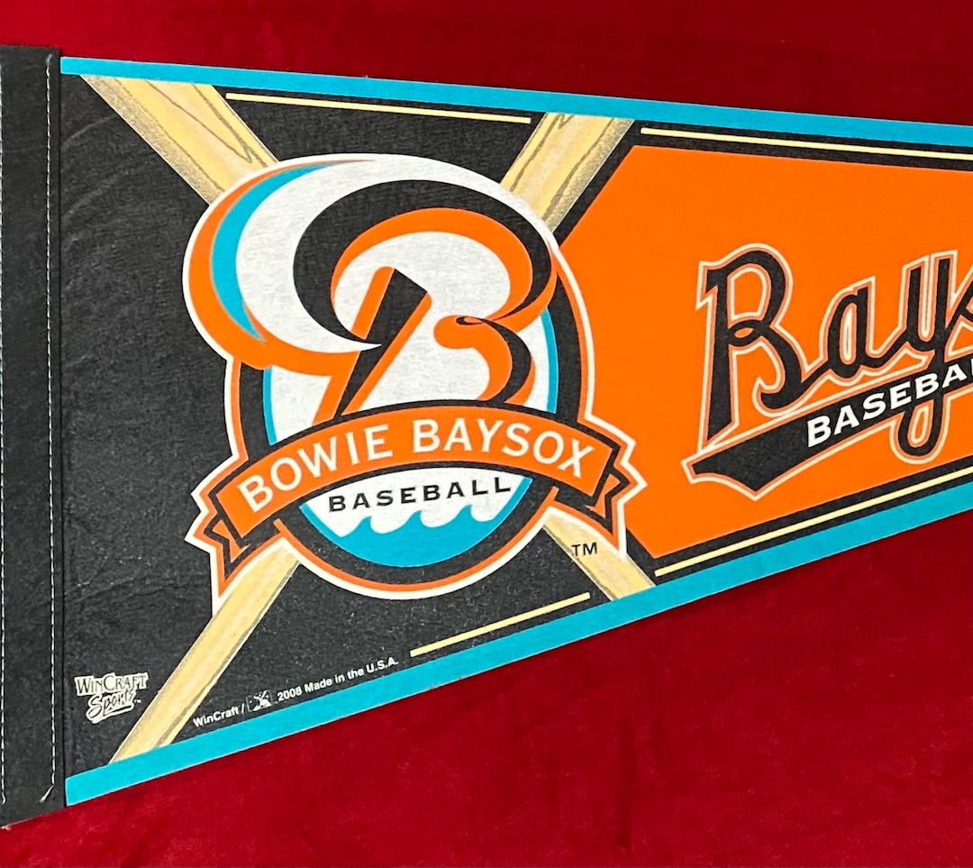 2008 Bowie Baysox Minor League Baseball Baltimore Orioles Affiliate