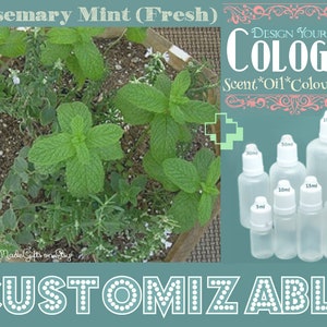 Cologne  - Rosemary Mint (Fresh) - Aromatherapy Oil - Choose your Base