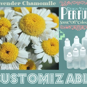 Op de afbeelding: Een close-up van witte madeliefjes met gele centra. De afbeelding toont ook een verscheidenheid aan heldere glazen flessen met witte doppen, gelabeld met verschillende maten in milliliter. De tekst "DESIGN YOUR OWN PERFUME" is geschreven in roze en witte letters. De tekst "Scent*Oil*Colour*Size" is geschreven in witte letters. De tekst "CUSTOMIZABLE" is geschreven in witte letters met een gestippelde rand.