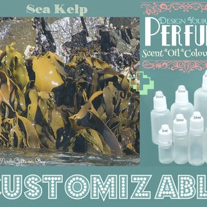 Może przedstawiać: Wodorosty kelp na skalistym brzegu. Zaprojektuj własne perfumy z wyborem zapachu, oleju, koloru i rozmiaru. Butelki są dostępne w rozmiarach 3 ml, 10 ml, 15 ml, 20 ml, 30 ml, 50 ml i 100 ml.