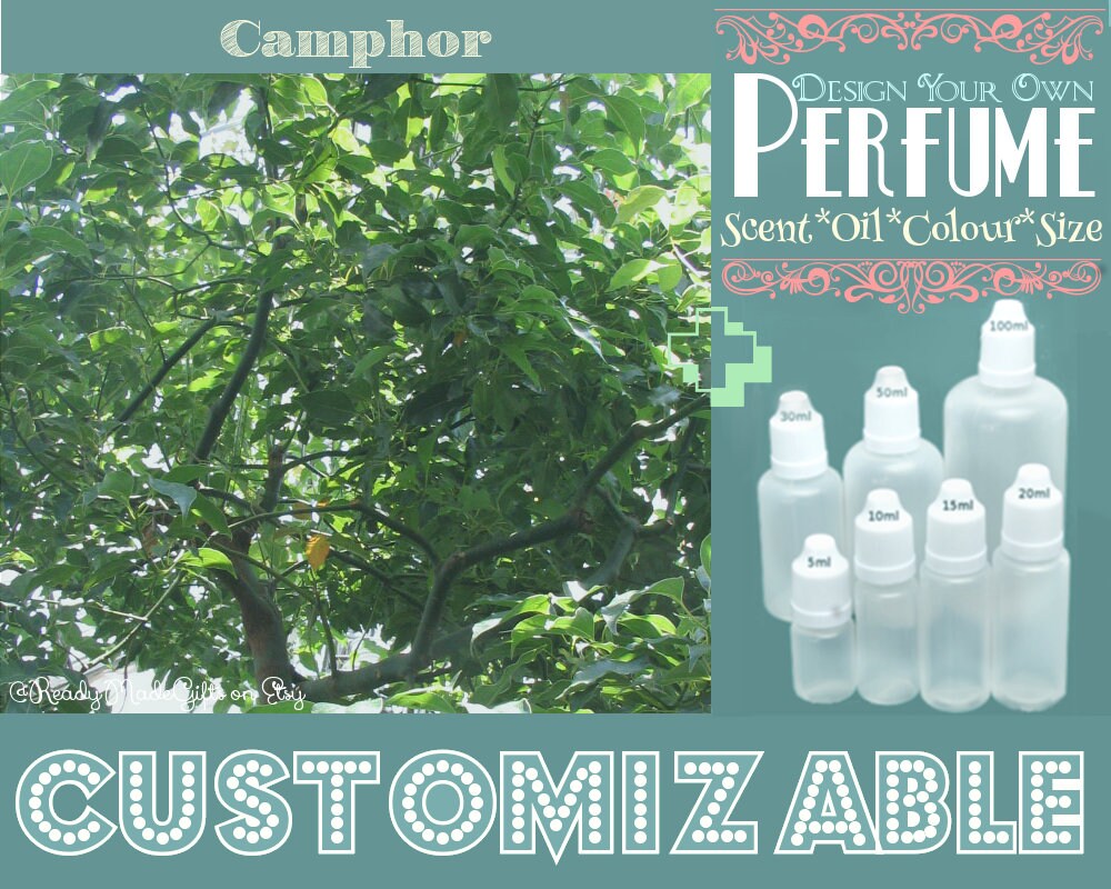 Perfume Camphor Aromatherapy Oil Choose Your Base India