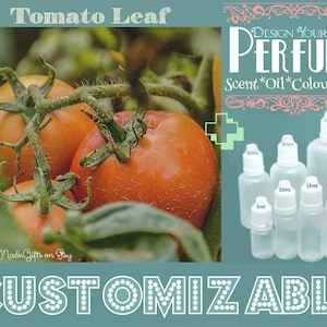Könnte beinhalten: Nahaufnahme einer Tomatenpflanze mit reifen roten Tomaten. Das Bild zeigt auch eine Auswahl an durchsichtigen Glasflaschen mit Tropfern, die mit verschiedenen Größen in Millilitern beschriftet sind. Der Text "DESIGN YOUR OWN PERFUME" ist in einer dekorativen Schriftart dargestellt. Der Text "Scent*Oil*Colour*Size" ist unter dem Haupttext dargestellt. Der Text "CUSTOMIZABLE" ist am unteren Rand des Bildes dargestellt.