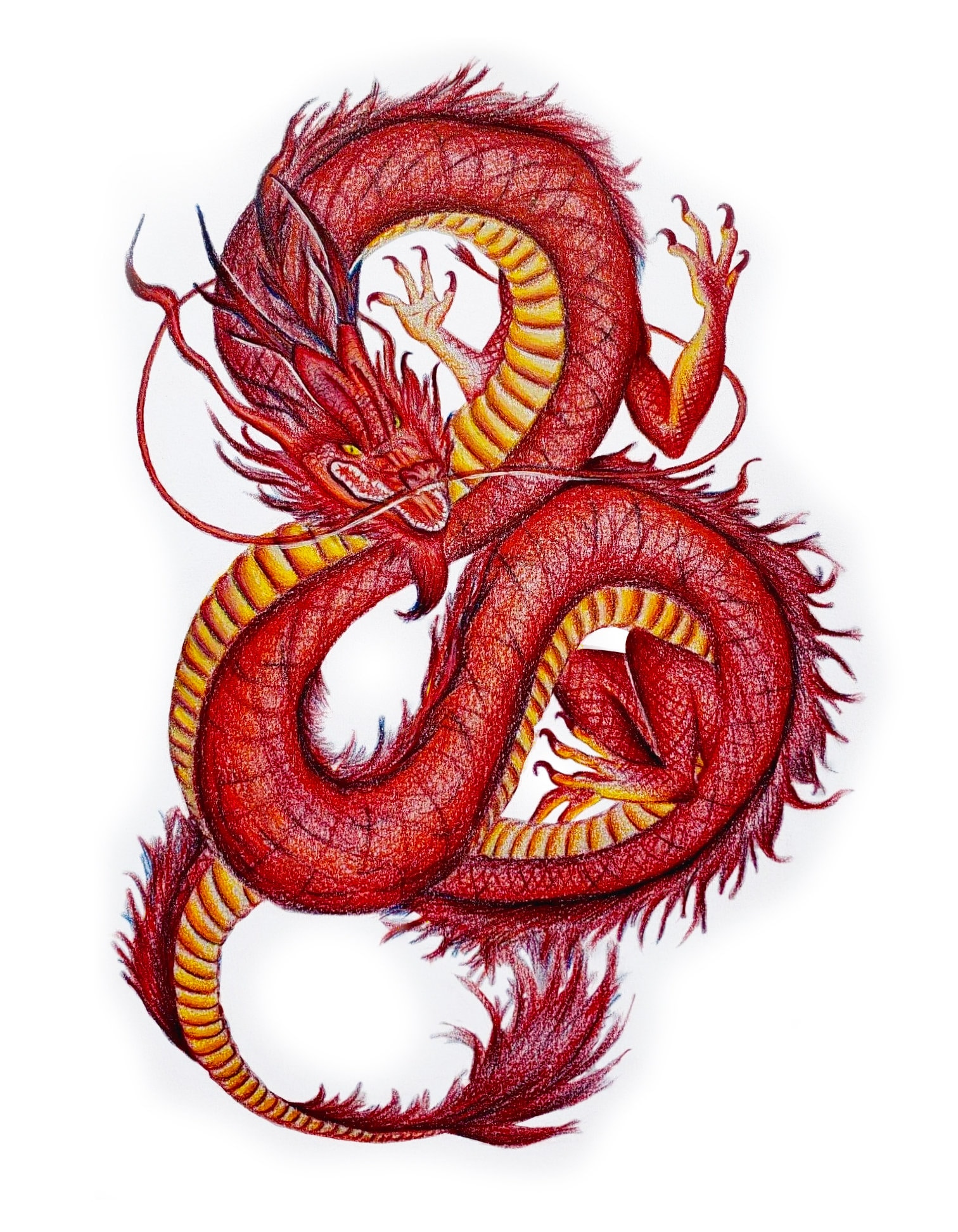 Chinese Dragon Art Print Chinese Dragon Drawing Chinese Dragon