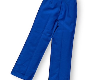Vintage 70s Mens Kaki Roberts Blue Polyester Pants Bold Colorful Unisex Pleated