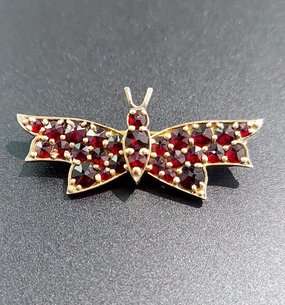 Vintage Bohemian Garnet and 900 Silver Butterfly, 